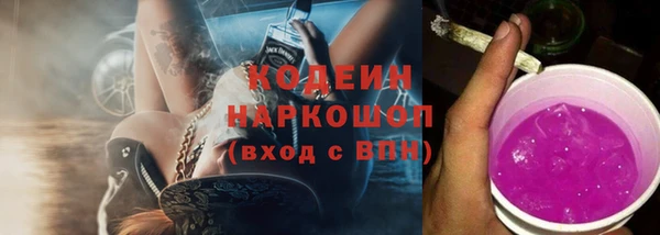 гашик Аркадак