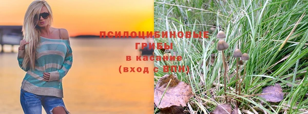 гашик Аркадак