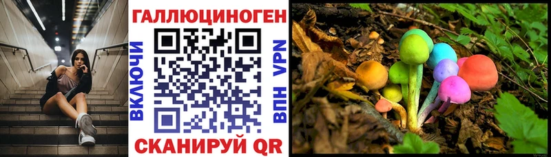 Галлюциногенные грибы мицелий Бронницы
